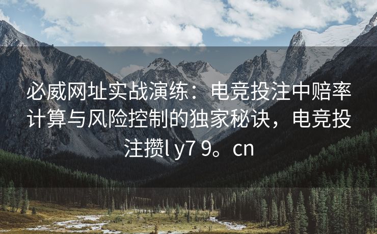 必威网址实战演练：电竞投注中赔率计算与风险控制的独家秘诀，电竞投注攒l y7 9。cn  第2张