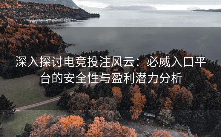 深入探讨电竞投注风云：必威入口平台的安全性与盈利潜力分析  第2张