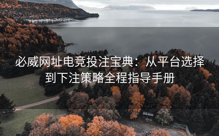 必威网址电竞投注宝典：从平台选择到下注策略全程指导手册  第2张
