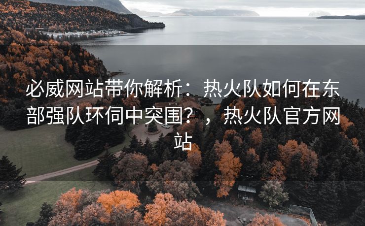 必威网站带你解析：热火队如何在东部强队环伺中突围？，热火队官方网站